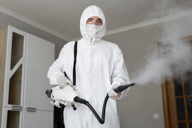 Asbestos and Lead Testing During Mold Inspection